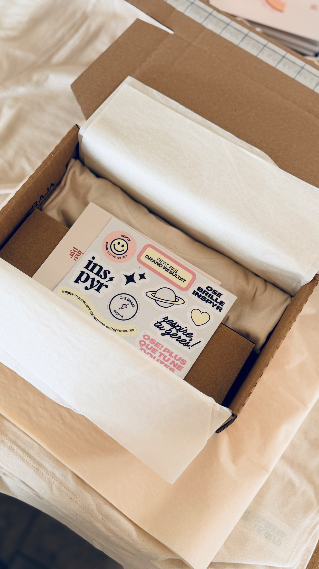 Colis d'accueil INSPYR avec stickers et t-shirt